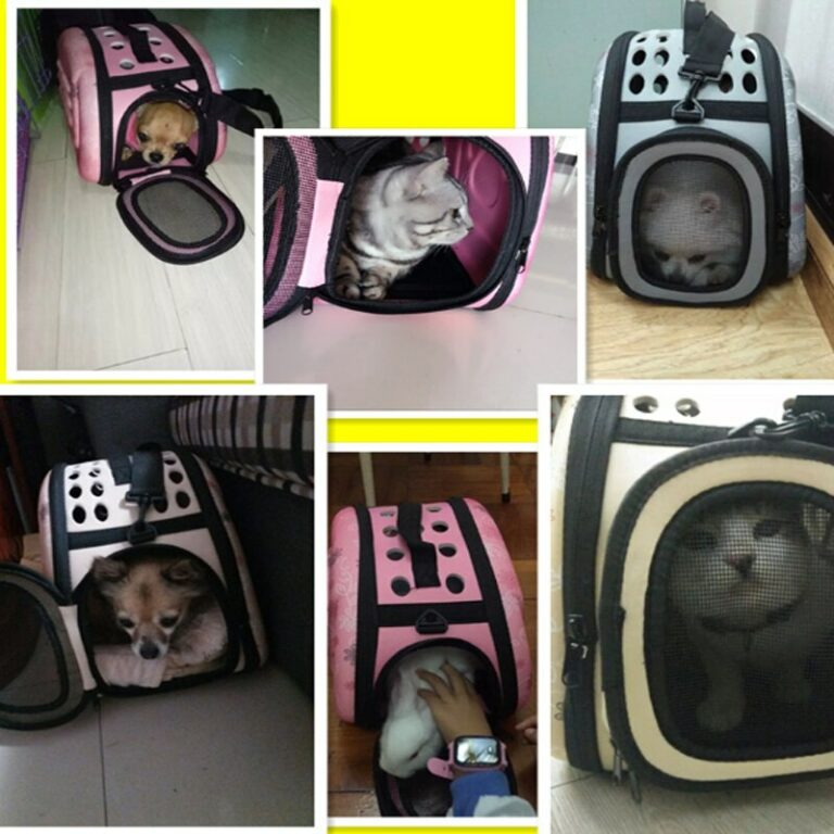 Portable Dog And Cat Carrier Backpack For Small Breeds Pdbag06