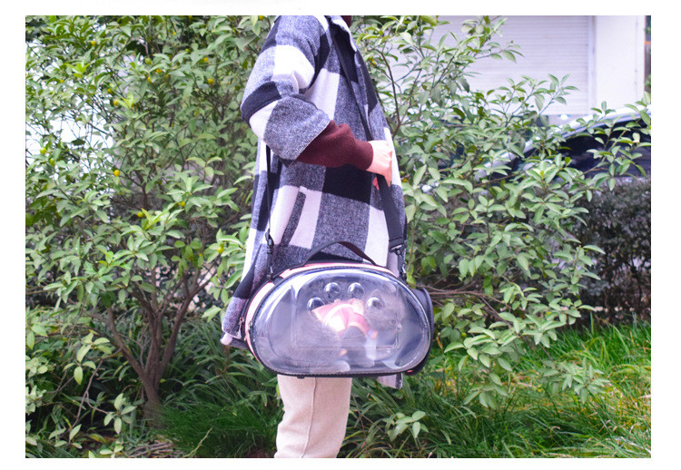 Luxury Portable Cat Carrier Breathable Transparent Foldable Pet Travel Bag For Outdoor Use - 7