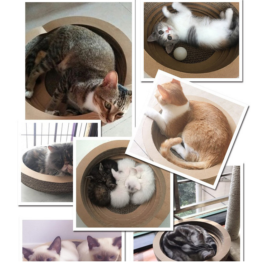 Extralarge Cat Scratcher Toy Bowl Design Scratch Pad Claws Grinder Body Massage Resting Nest - 1