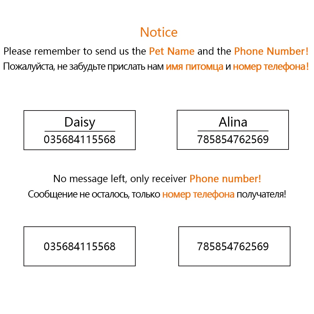 Personalized Cat Collar Laser Engraved Fashion For Cats Kitten With Id Tags Female Pet Products - 5