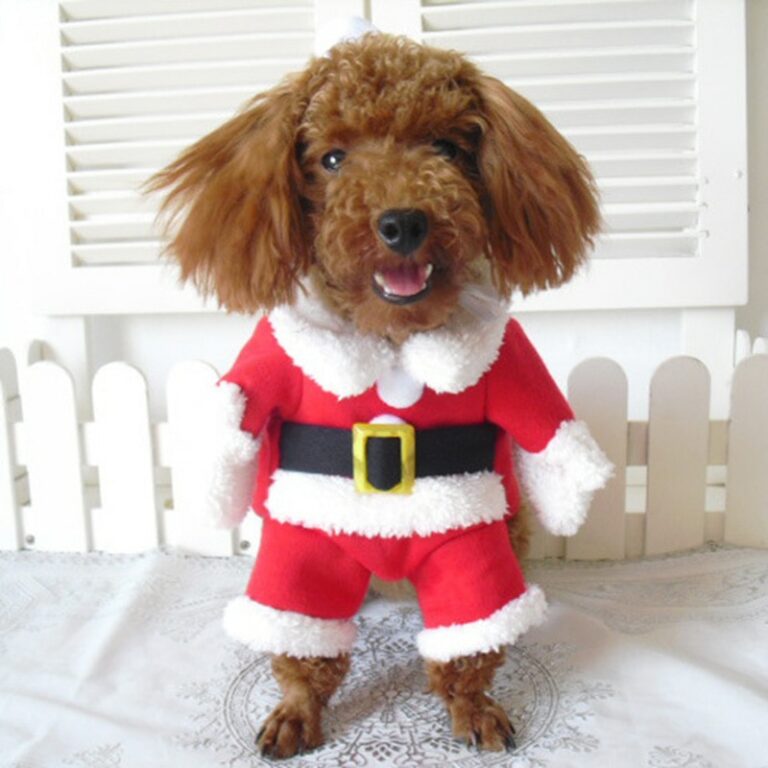 Christmas Pet Costumes Santa Claus Outfits For Small Cats And Dogs