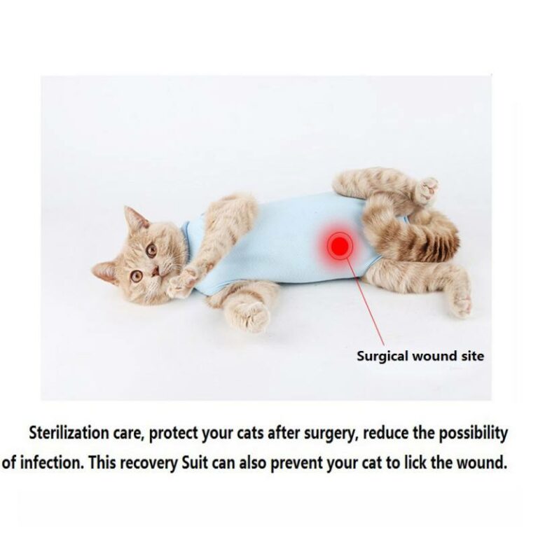 Recovery Suit Sterilization Care Wipe Medicine Prevent Lick After