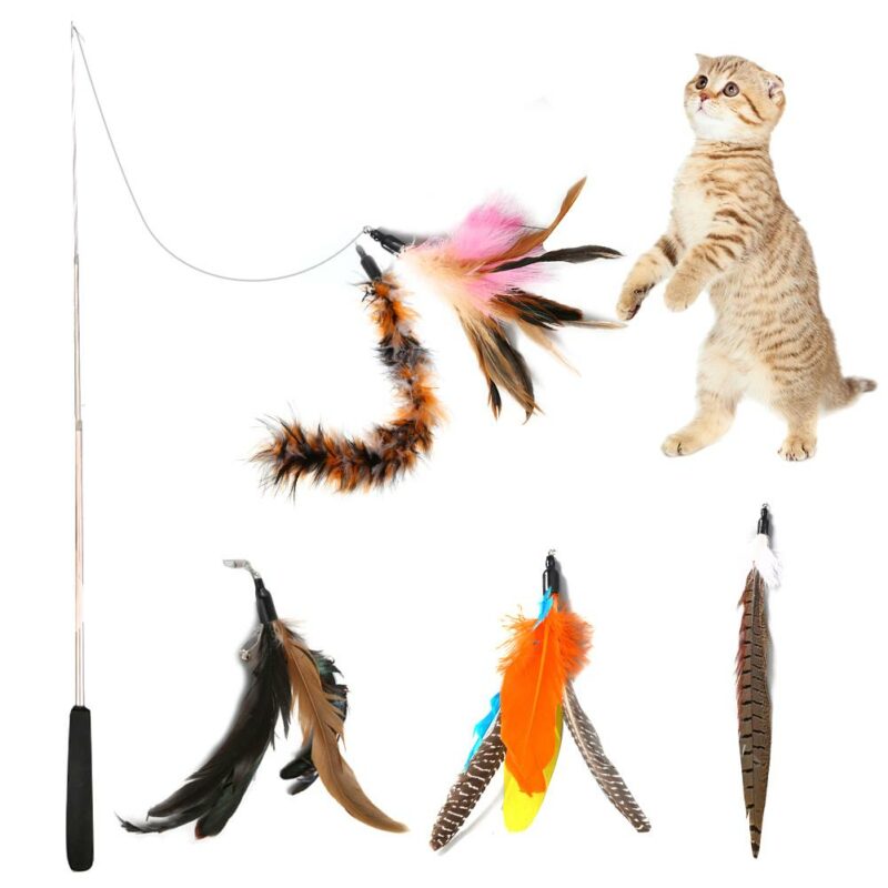 Retractable Interactive Cat Fishing Rod Toy With Feather Replacements