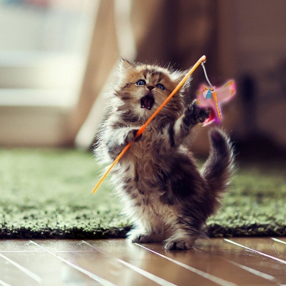 4colorsfunny Dragonfly Cat Stick Rod Toy Colourful Pet Teaser Cats Wand Products With Bell - 2