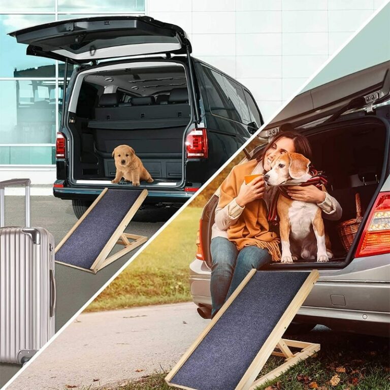 2wheel Dog Wheelchair For Handicapped Paralyzed Weak Rear Legs Scooter